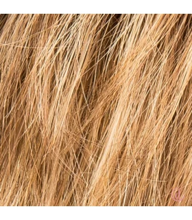 Ginger rooted